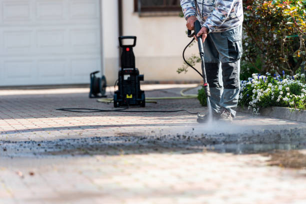 Best Roof Pressure Washing  in Newburgh, IN